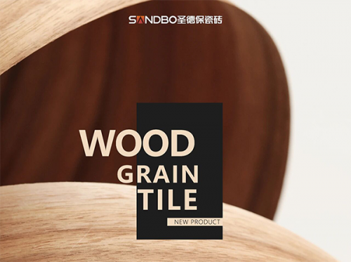 把森林的溫潤，鋪進日常晨昏